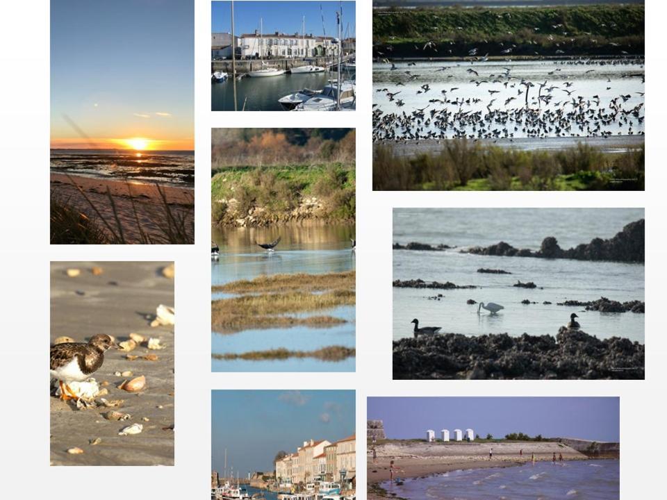 Ile De Re, La Danae, Velos, Wifi, Possibilite Cuisine, Linge, Parking Gratuit 圣马丹德雷 外观 照片